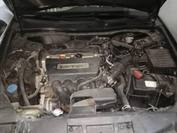 [温州·浙C] 二手本田雅阁2009款 2.4L LX