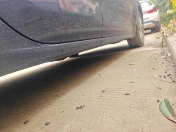 [武汉·鄂A] 二手菲亚特致悦2014款 1.4T 自动舒适版