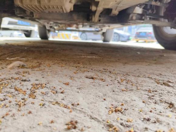 [上海·皖D] 二手奇瑞瑞虎5x2020款 1.5L 手动都市版