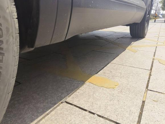 [宁波·浙B] 二手大众途昂2022款 380TSI 四驱豪华版