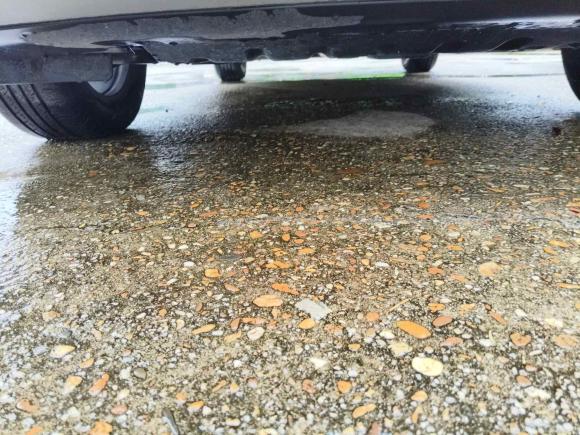 [南昌·赣A] 二手比亚迪元PLUS2023款 冠军版 510KM 领先型