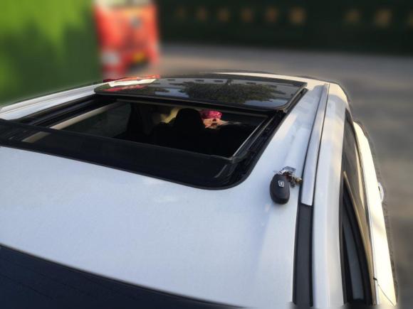 [无锡·浙B] 二手奔腾奔腾T772019款 230 TID 自动豪华型 国VI