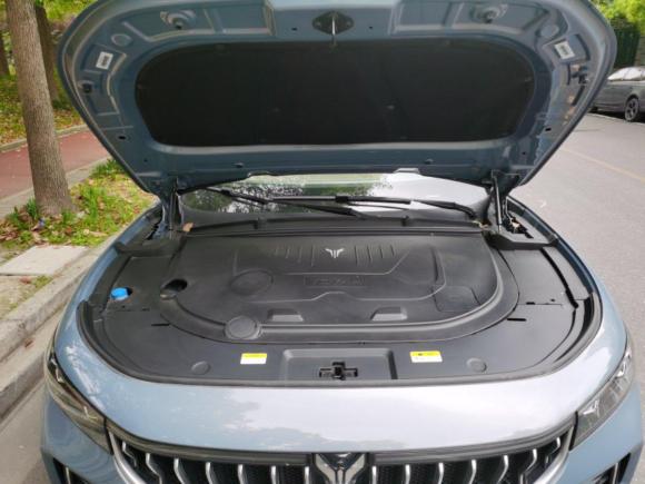 [上海·沪A] 二手岚图汽车岚图FREE2021款 四驱增程版专属豪华套装