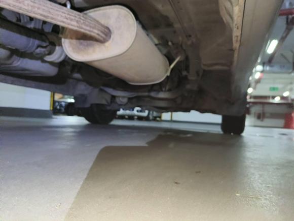 [深圳·赣B] 二手东风风行菱智2018款 M3L 1.6L 7座舒适型