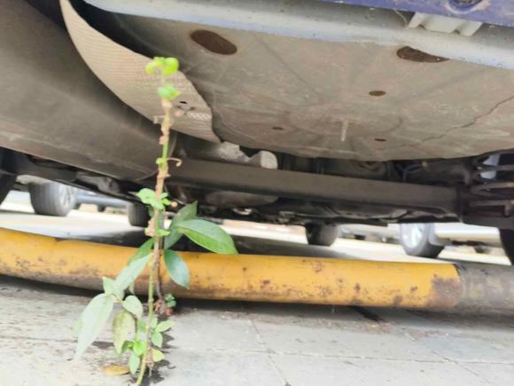 [广州·川A] 二手菲亚特致悦2014款 1.4T 自动舒适版