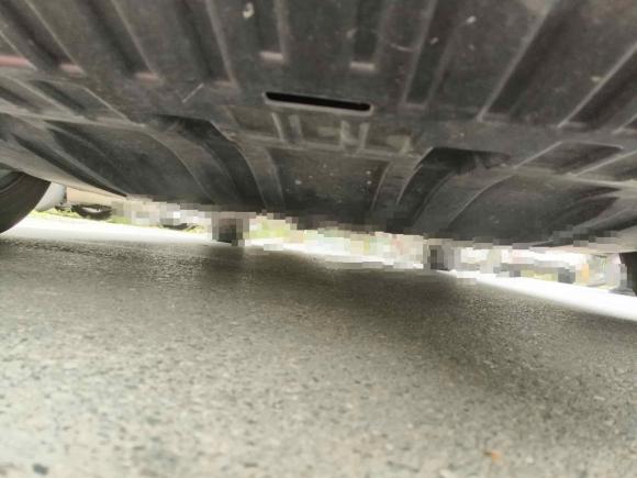 [合肥·皖A] 二手日产轩逸2020款 1.6L XL CVT悦享版