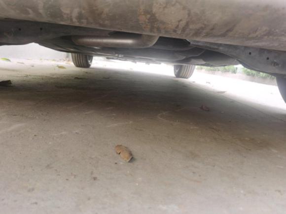 [嘉兴·浙F] 二手大众T-ROC探歌2019款 230TSI DSG两驱进取型 国VI