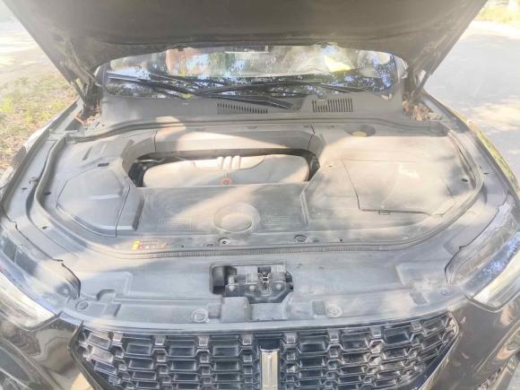 [武汉·鄂A] 二手魏牌魏牌 VV52019款 1.5T 两驱颜先锋