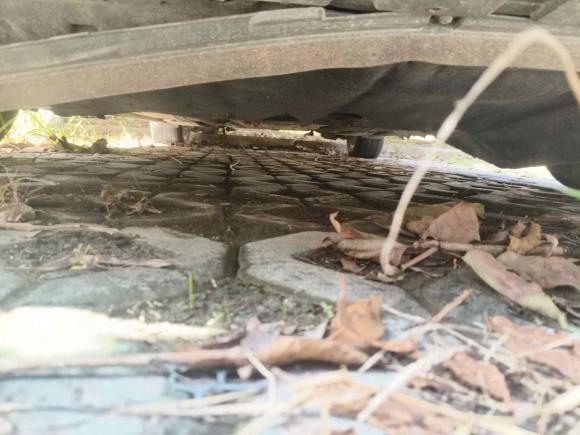 [上海·皖A] 二手福特福克斯2018款 两厢经典 1.6L 自动舒适型智行版