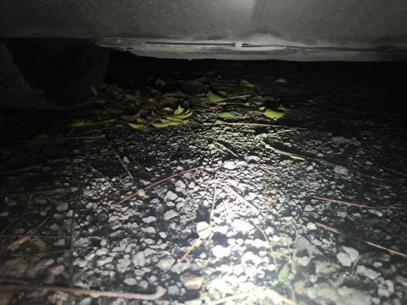 [武汉·鄂A] 二手力帆汽车迈威2016款 1.5L 手动精英型