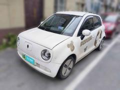 [上海·浙A] 欧拉欧拉黑猫2019款 351km 灵趣版