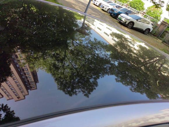 [上海·沪A] 二手比亚迪海豚2021款 405km 时尚版