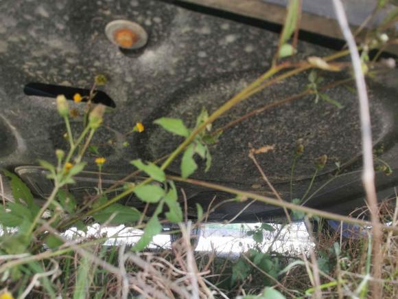 [台州·浙J] 二手现代途胜2018款 1.6T 双离合两驱15周年特别版