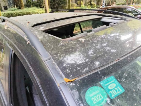 [成都·川A] 二手奔驰奔驰M级2010款 ML 300 4MATIC