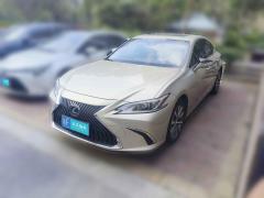 [嘉兴·浙F] 雷克萨斯雷克萨斯ES2018款 200 豪华版 国V