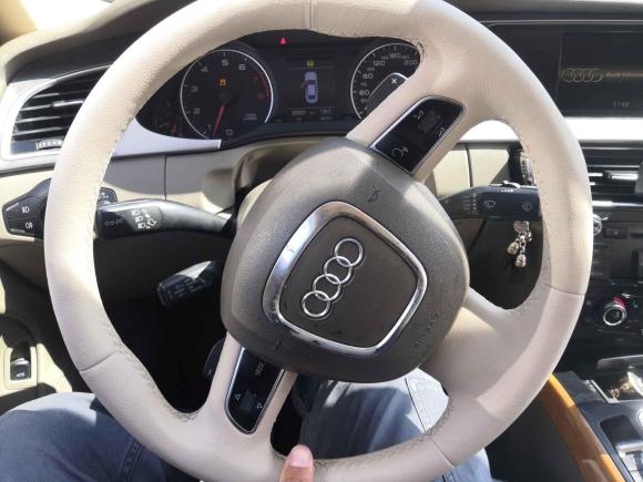 [上海·湘H] 二手奥迪奥迪A4L2009款 3.2 FSI quattro 旗舰型