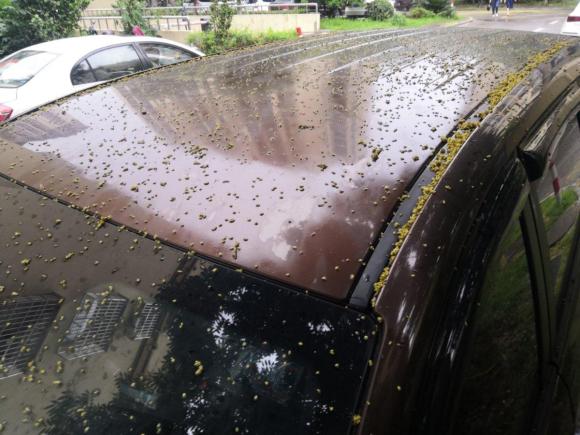 [湖州·浙E] 二手北汽威旺北汽威旺M50F2017款 1.5L 标准型