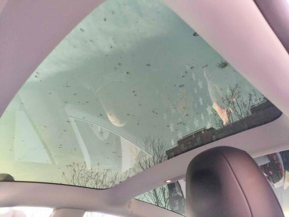 [北京·京A] 二手特斯拉Model 32020款 改款 标准续航后驱升级版