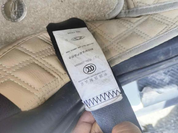 [苏州·苏E] 二手奇瑞新能源小蚂蚁2021款 20万蚁粉款 元气版 磷酸铁锂 301km