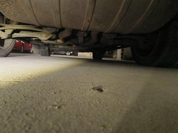 [青岛·鲁B] 二手奥迪奥迪Q72013款 35 TFSI 进取型