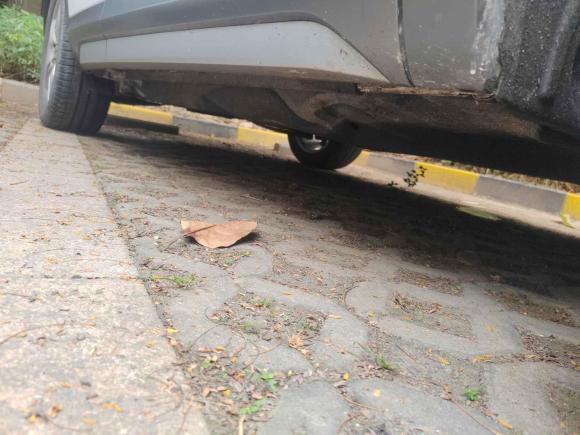 [广州·粤S] 二手奥迪奥迪Q32018款 30周年年型 30 TFSI 风尚型