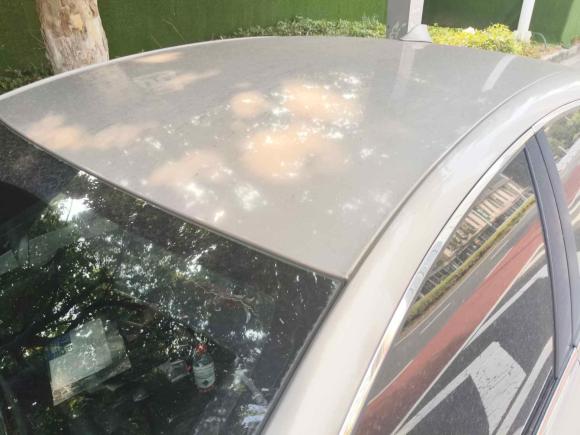 [常州·苏D] 二手菲亚特菲翔2015款 1.4T 自动畅享版