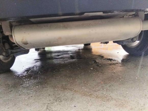 [上海·皖H] 二手福特福克斯2012款 三厢 1.6L 手动风尚型