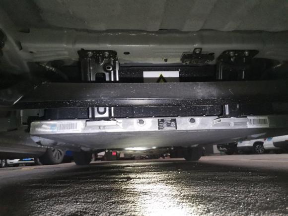 [深圳·粤B] 二手欧拉欧拉黑猫2021款 301km 萌宠版