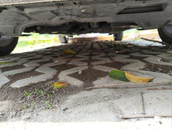 [上海·沪B] 二手大众Polo2014款 1.6L 自动舒适版