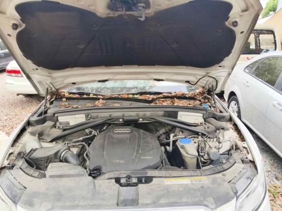 [嘉兴·浙F] 二手奥迪奥迪Q52015款 40 TFSI 进取型