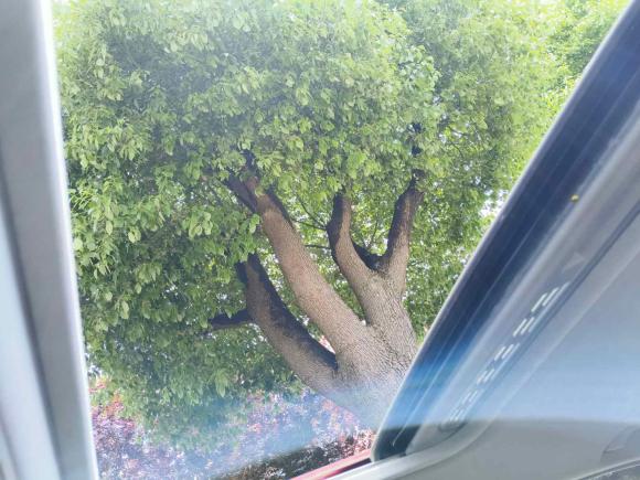 [嘉兴·浙F] 二手宝马宝马3系2018款 320Li M运动曜夜版