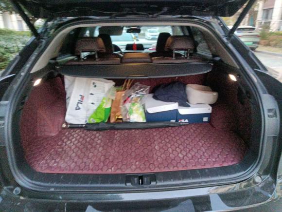 [苏州·苏U] 二手雷克萨斯雷克萨斯RX2020款 改款 300 四驱典雅版