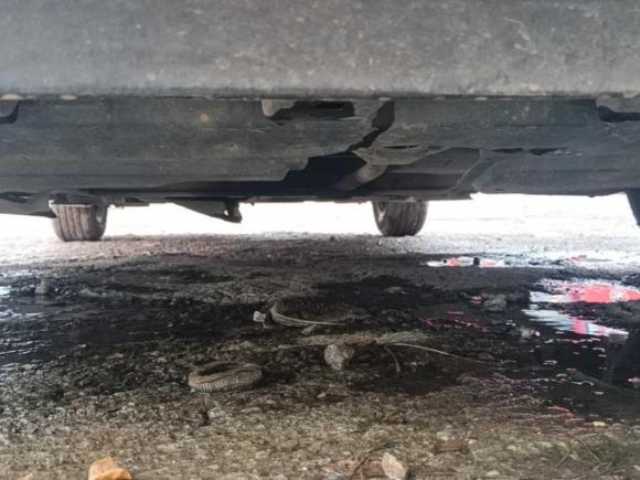 [佛山·粤E] 二手丰田雷凌2017款 1.2T G CVT精英版