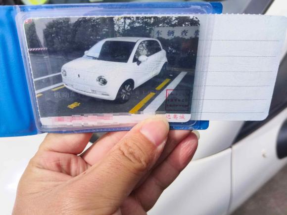 [上海·沪A] 二手欧拉欧拉黑猫2021款 351km 豪华型