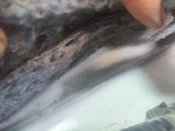 [西安·陕A] 二手马自达马自达3 昂克赛拉2017款 三厢 1.5L 自动舒适型 国V