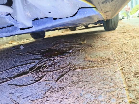 [深圳·粤B] 二手起亚起亚K22017款 三厢 1.4L AT GLS