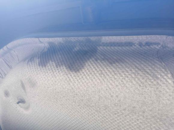 [温州·浙C] 二手福特福克斯2012款 三厢 1.6L 自动风尚型