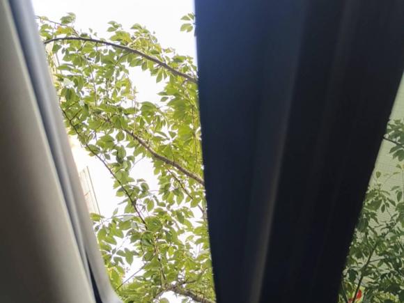 [嘉兴·浙F] 二手沃尔沃沃尔沃XC602019款 T5 四驱智逸版 国VI