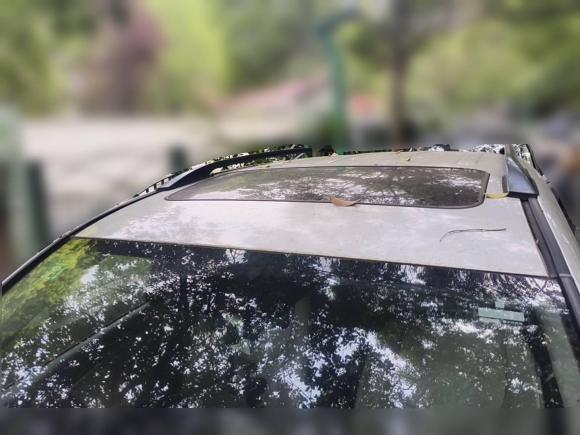 [上海·沪A] 二手丰田RAV4荣放2009款 2.4L 自动豪华版