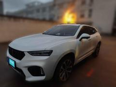 [宁波·鲁L]魏牌&nbsp;&nbsp;魏牌VV7&nbsp;&nbsp;2019款升级款2.0T豪华型国V