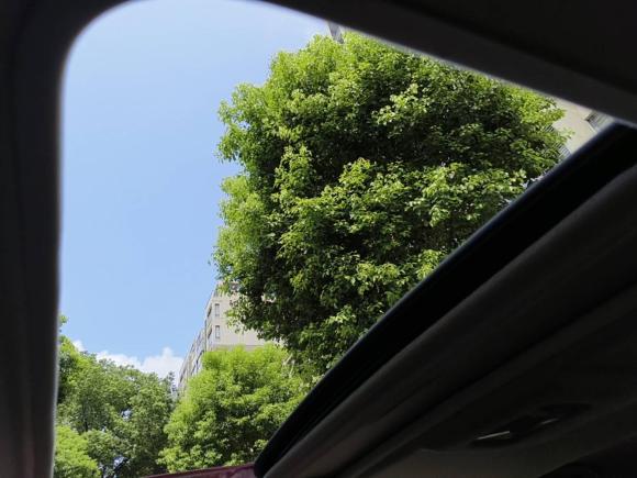 [上海·沪B] 二手日产骐达TIIDA2019款 1.6L CVT智尊版 国VI