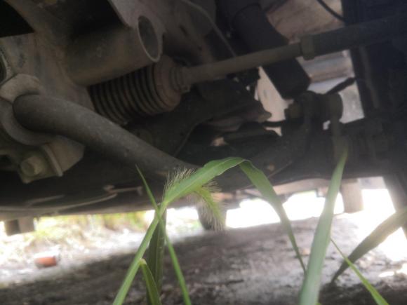 [上海·苏F] 二手东风风行菱智2018款 M5L 1.6L 7座豪华型