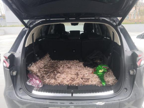 [嘉兴·浙F] 二手比亚迪唐新能源2018款 DM 2.0T 全时四驱智联创领型 7座 国V