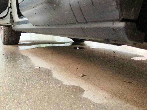 [上海·沪J] 二手路虎揽胜极光2016款 2.0T SE 智耀版