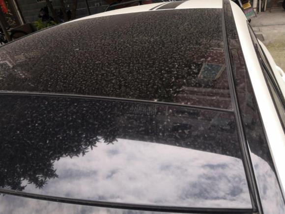 [义乌·浙G] 二手奔驰奔驰A级AMG2014款 AMG A 45 4MATIC