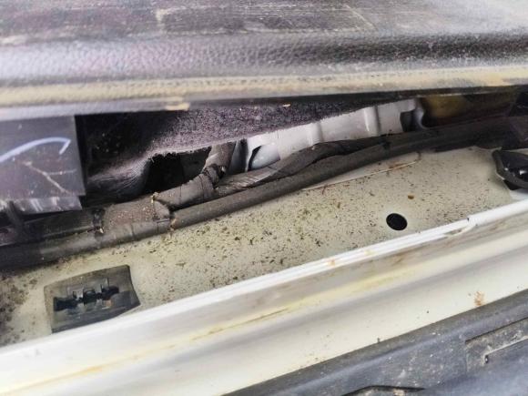 [宁波·浙B] 二手东南东南DX52019款 1.5T CVT豪华型