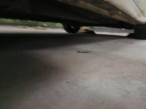 [温州·浙C] 二手福特嘉年华2013款 三厢 1.5L 自动时尚型