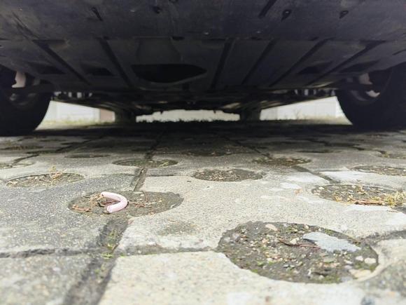 [南京·苏A] 二手马自达马自达3星骋2012款 两厢 1.6L 自动精英型