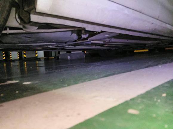 [嘉兴·浙F] 二手雪铁龙雪铁龙C4L2015款 1.8L 自动豪华版