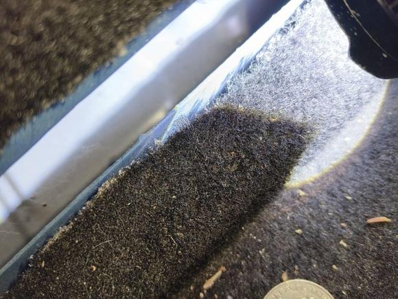 [武汉·鄂B] 二手长安长安CS152016款 1.5L 手动时尚版